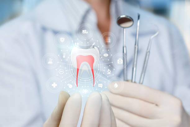 Trusted Ives Estates, FL Holistic Dental Care Services Experts